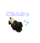 使える！黒ぷースタンプ☆（個別スタンプ：9）