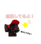 使える！黒ぷースタンプ☆（個別スタンプ：22）
