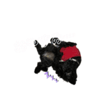 使える！黒ぷースタンプ☆（個別スタンプ：24）