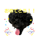 使える！黒ぷースタンプ☆（個別スタンプ：27）