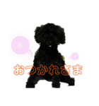 使える！黒ぷースタンプ☆（個別スタンプ：30）