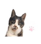 ほんわか⭐︎そらすたんぷ。（個別スタンプ：16）