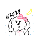 ぷんねも ビションフリーゼとトイプードル（個別スタンプ：14）