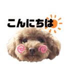 トイプーホルンの日常3（個別スタンプ：4）