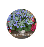 ごはん誘うー（個別スタンプ：19）