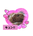 ふうちゃんの巻 その3（個別スタンプ：2）