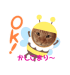 ふうちゃんの巻 その3（個別スタンプ：4）