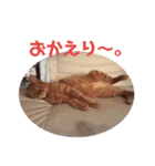 ふうちゃんの巻 その3（個別スタンプ：5）