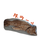 ふうちゃんの巻 その3（個別スタンプ：8）
