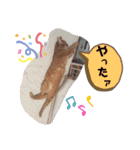 ふうちゃんの巻 その3（個別スタンプ：16）