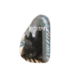 myRabbitLOVE（個別スタンプ：4）
