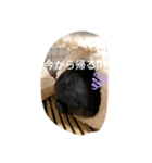myRabbitLOVE（個別スタンプ：6）