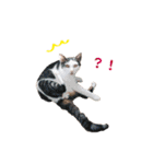 もんべる（個別スタンプ：21）