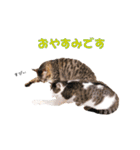 もんべる（個別スタンプ：24）