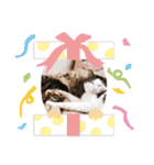 もんべる（個別スタンプ：39）