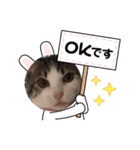 桜夢のスタンプ1（個別スタンプ：1）