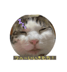 桜夢のスタンプ1（個別スタンプ：6）