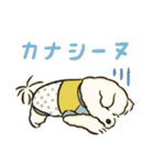 変な犬図鑑（個別スタンプ：5）