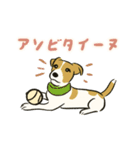 変な犬図鑑（個別スタンプ：25）