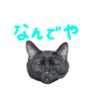 くろねこやまちゃん（個別スタンプ：4）