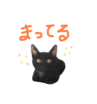 くろねこやまちゃん（個別スタンプ：13）