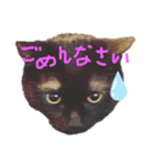 くろねこやまちゃん（個別スタンプ：16）