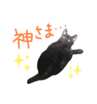 くろねこやまちゃん（個別スタンプ：18）