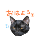くろねこやまちゃん（個別スタンプ：22）