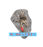 魚三昧ver6（個別スタンプ：2）