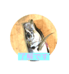 魚三昧ver6（個別スタンプ：3）