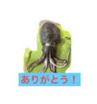 魚三昧ver6（個別スタンプ：5）