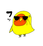 コザクラインコのこいも（個別スタンプ：5）