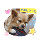 ナナちゃんスタンプ【よく使うワン③】（個別スタンプ：19）