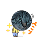 めめるる（個別スタンプ：3）