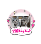 めめるる（個別スタンプ：8）