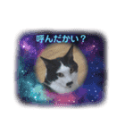 動物たちのスタンプ Ver．2（個別スタンプ：2）