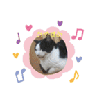 動物たちのスタンプ Ver．2（個別スタンプ：3）