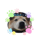 動物たちのスタンプ Ver．2（個別スタンプ：4）