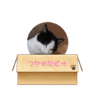 動物たちのスタンプ Ver．2（個別スタンプ：5）