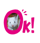 動物たちのスタンプ Ver．2（個別スタンプ：23）