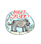 ネコ科の動物達（メッセージ入り）（個別スタンプ：5）