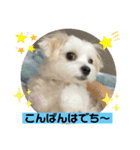 めりる毎日❤️（個別スタンプ：3）
