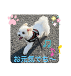 めりる毎日❤️（個別スタンプ：5）