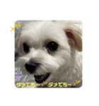 めりる毎日❤️（個別スタンプ：6）