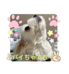めりる毎日❤️（個別スタンプ：8）