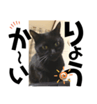黒猫のcooさん2（個別スタンプ：6）