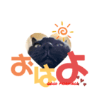 黒猫のcooさん2（個別スタンプ：8）