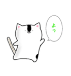 ねこのららです（個別スタンプ：5）