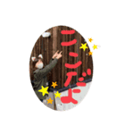 mayukyon's（個別スタンプ：3）