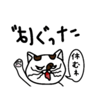 コハクさん！（個別スタンプ：6）